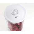 LAICA 